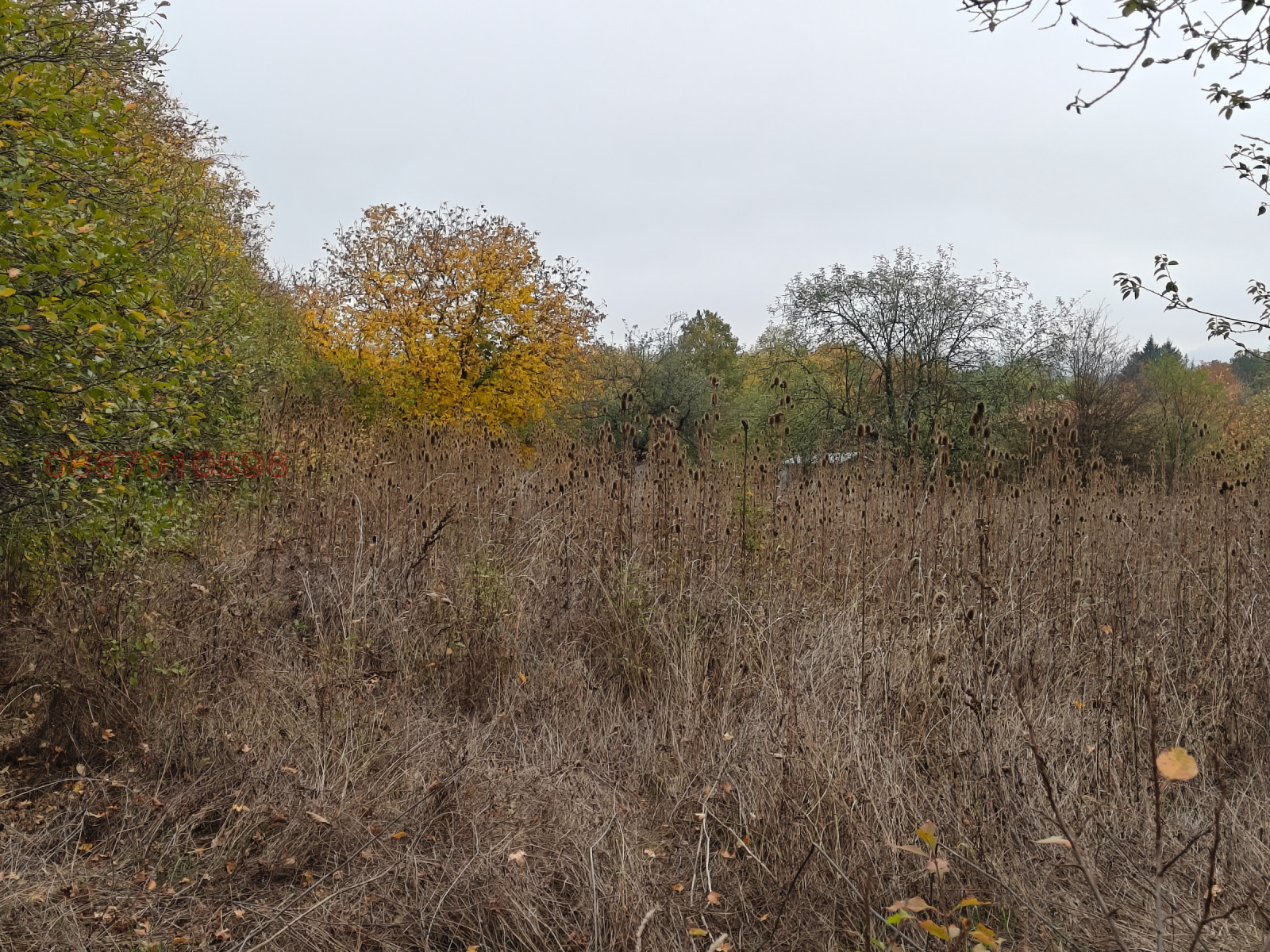 Продава ПАРЦЕЛ | Imot.bg — изображение 3