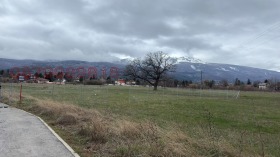 ����� ������� ������,���� �����, ���������