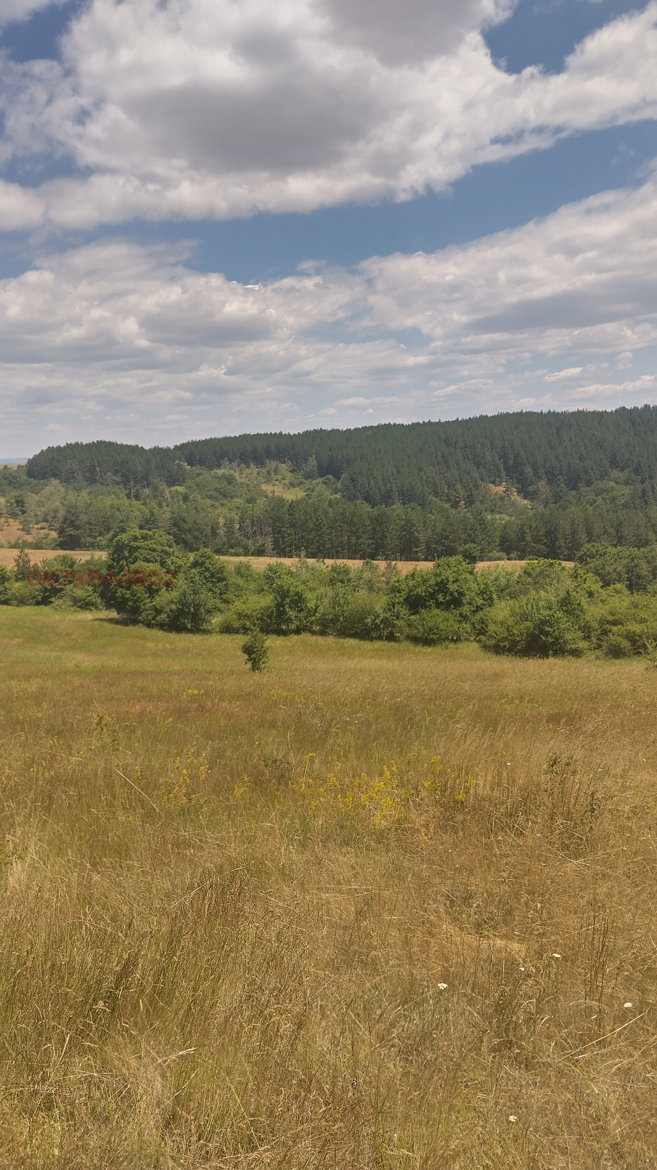 Продава ПАРЦЕЛ, гр. София, гр. Банкя, снимка 5 - Парцели - 55674732