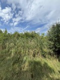 Продава ПАРЦЕЛ, област Пловдив, с. Красново • 1168000 € • 34875408 — Holmes.bg