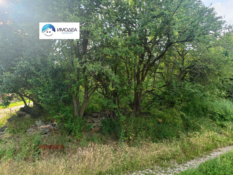 Продава ПАРЦЕЛ, гр. Килифарево, област Велико Търново, снимка 3 - Парцели - 52371090