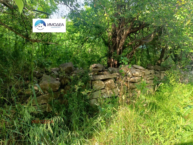 Продава ПАРЦЕЛ, гр. Килифарево, област Велико Търново, снимка 4 - Парцели - 52371090