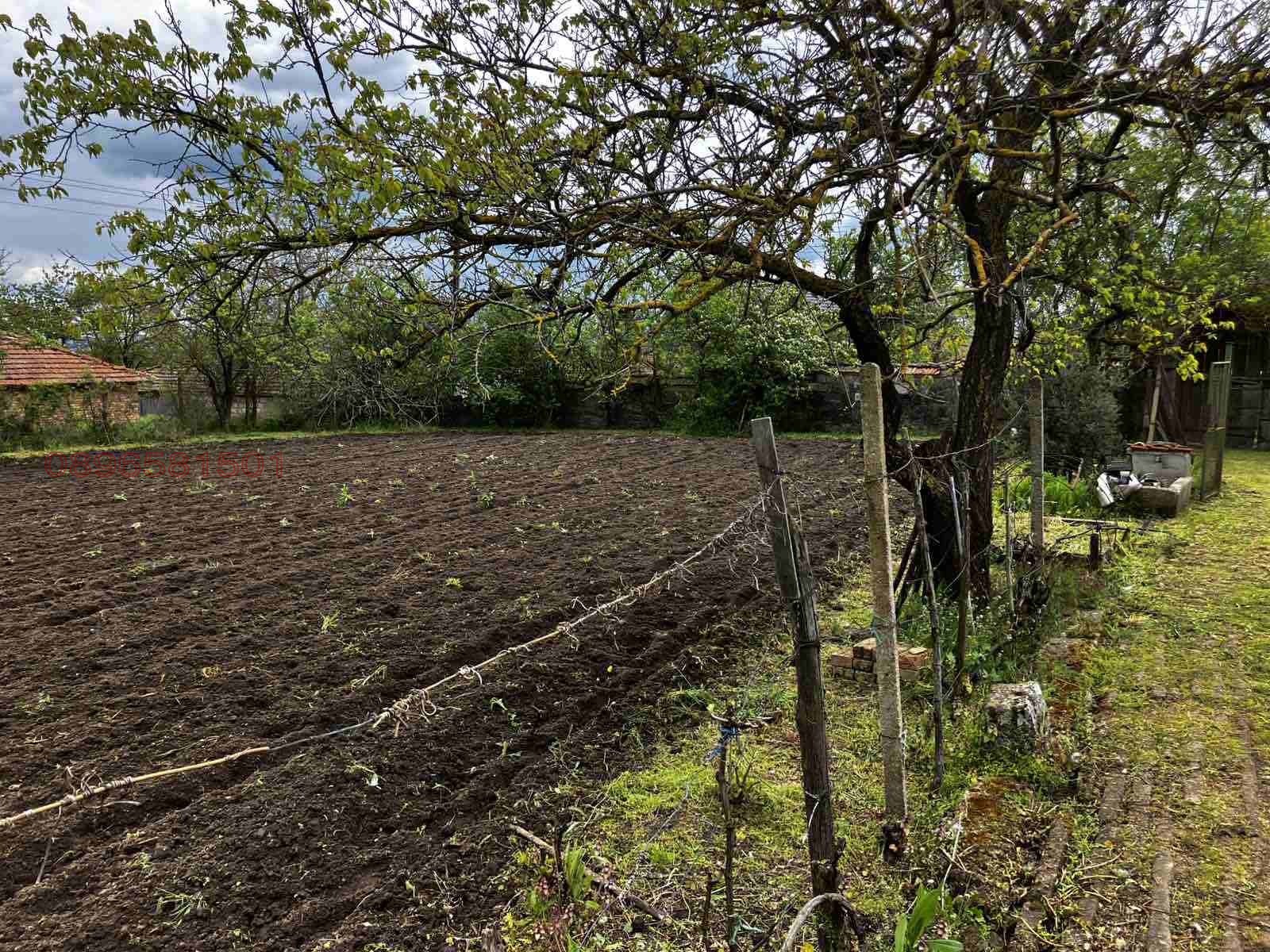 Продава КЪЩА, с. Кривня, област Варна, снимка 10 - Къщи - 54511196