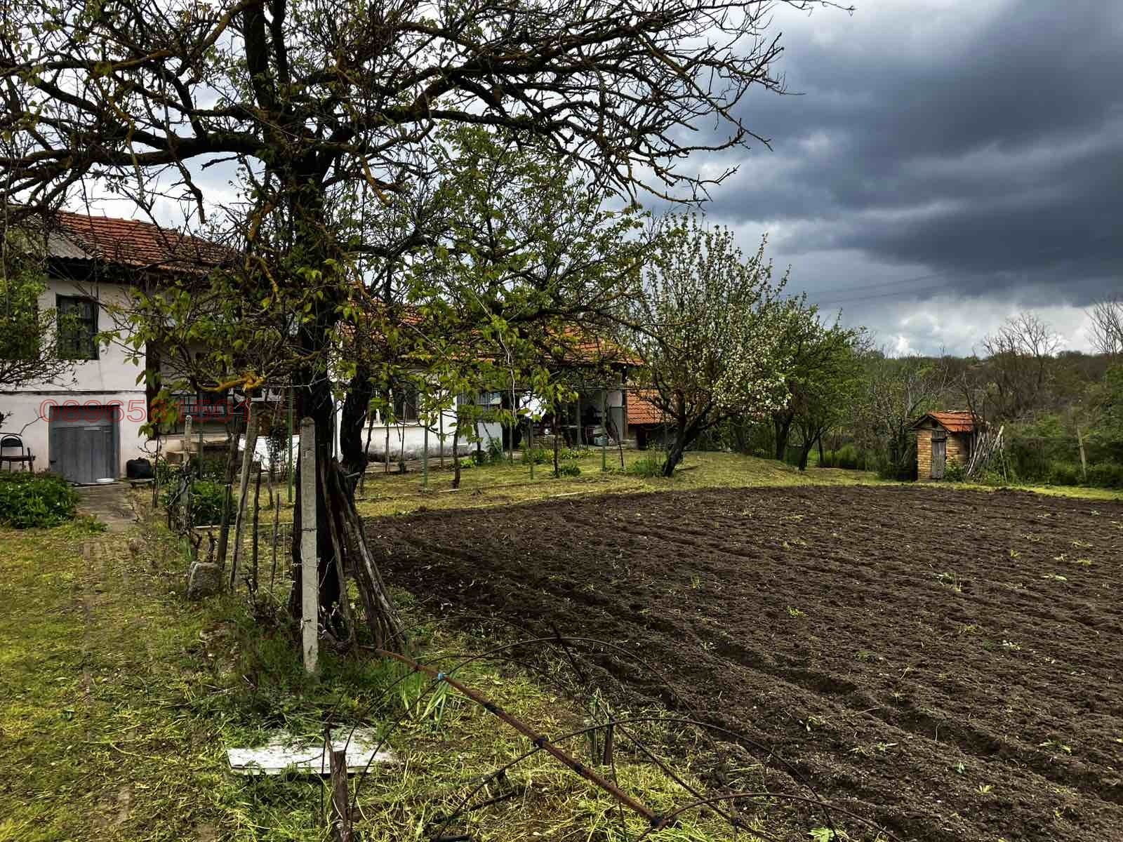 Продава КЪЩА, с. Кривня, област Варна, снимка 9 - Къщи - 54511196
