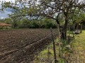 Продава КЪЩА, с. Кривня, област Варна, снимка 10