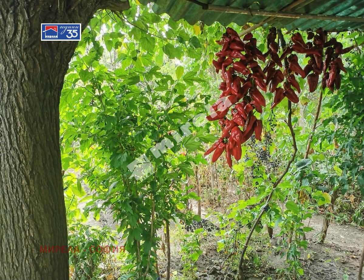 ������� ���� | Imot.bg � ����������� 16