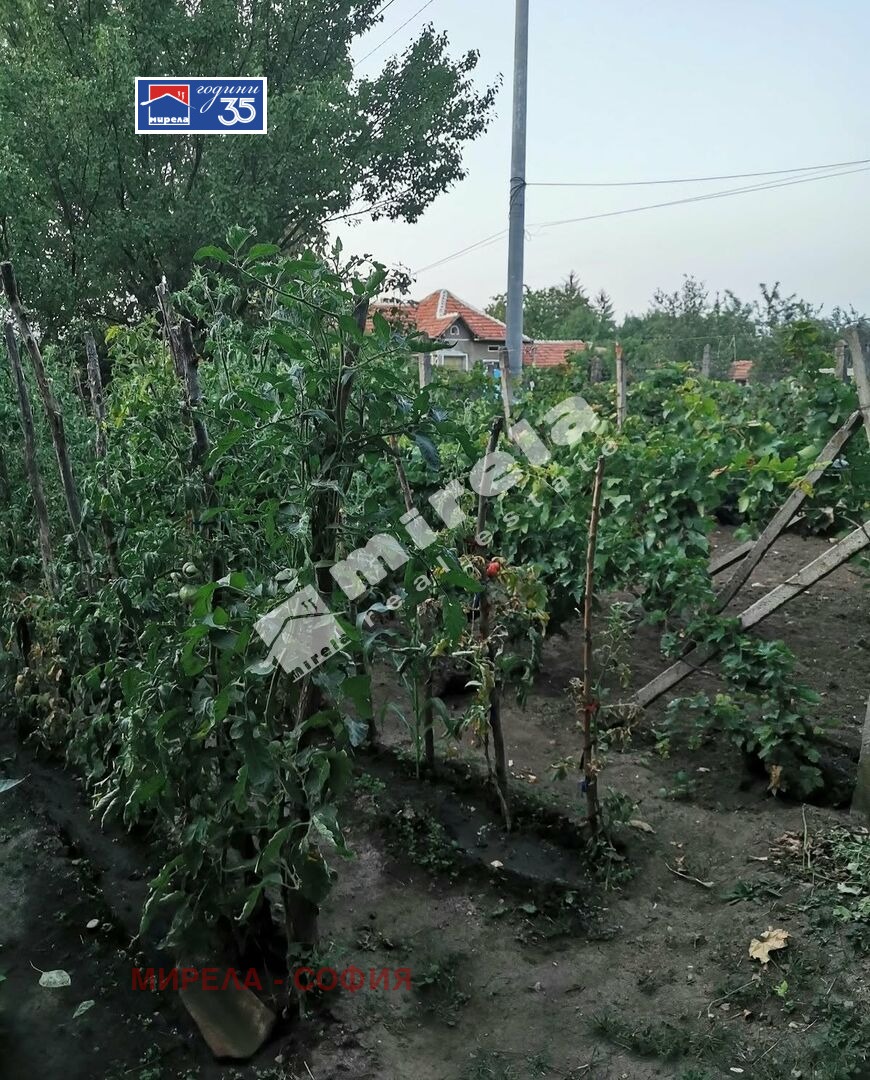 ������� ���� | Imot.bg � ����������� 12