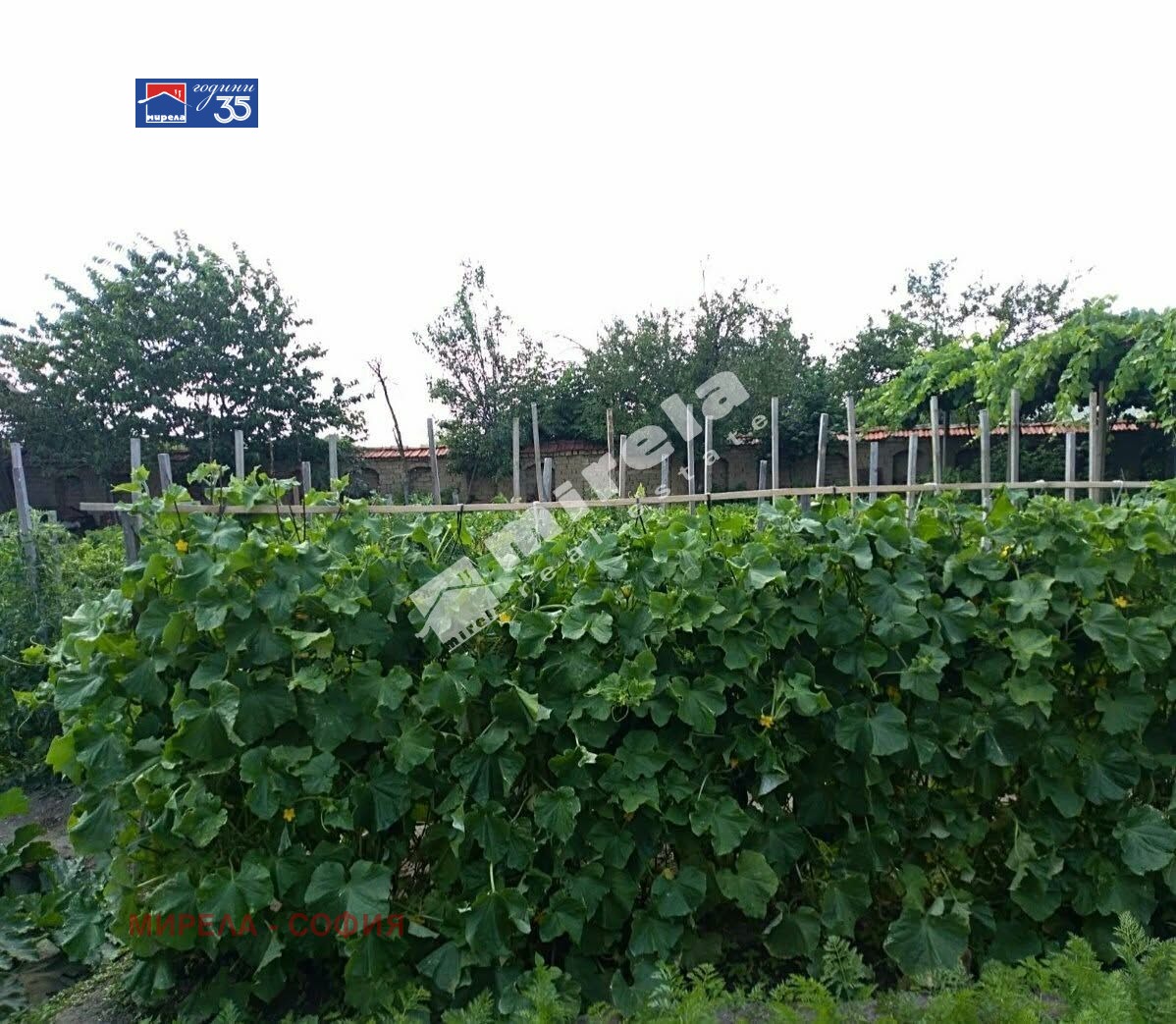 ������� ���� | Imot.bg � ����������� 11