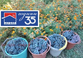 ������� ���� | Imot.bg � ����� ������ 13