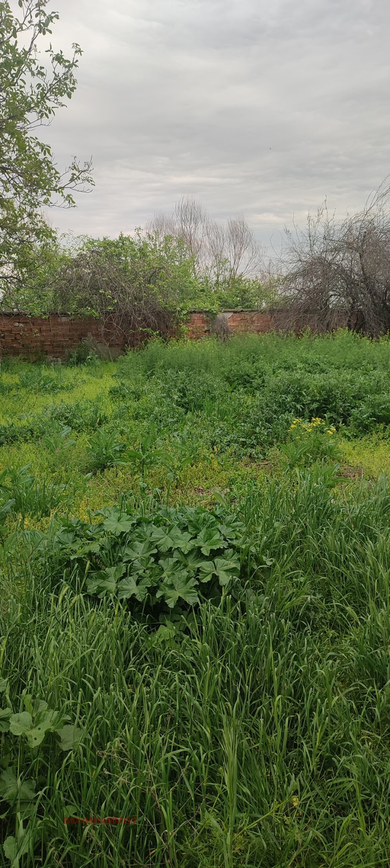 Na prodej  Dům oblast Plovdiv , Padarsko , 300 m2 | 80309035 - obraz [5]