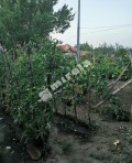 Продава КЪЩА, с. Търнак, област Враца, снимка 12