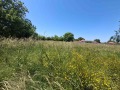 Продава ПАРЦЕЛ, област Велико Търново, с. Ново село • 30000 € / 58674.90 лв. • 91784980 8