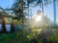 Продава ПАРЦЕЛ, град София, Драгалевци • 548800 € / 1073359.50 лв. • 14172807 10