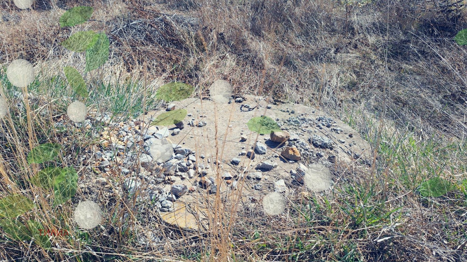 ������� ������ | Imot.bg � ����������� 10