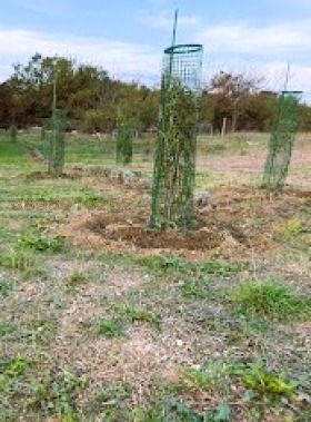 Продава КЪЩА, с. Лозенец, област Бургас, снимка 11 - Къщи - 56645570