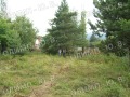 Продава ПАРЦЕЛ, град София, Малинова долина • 25000 € • 70691871 — Holmes.bg