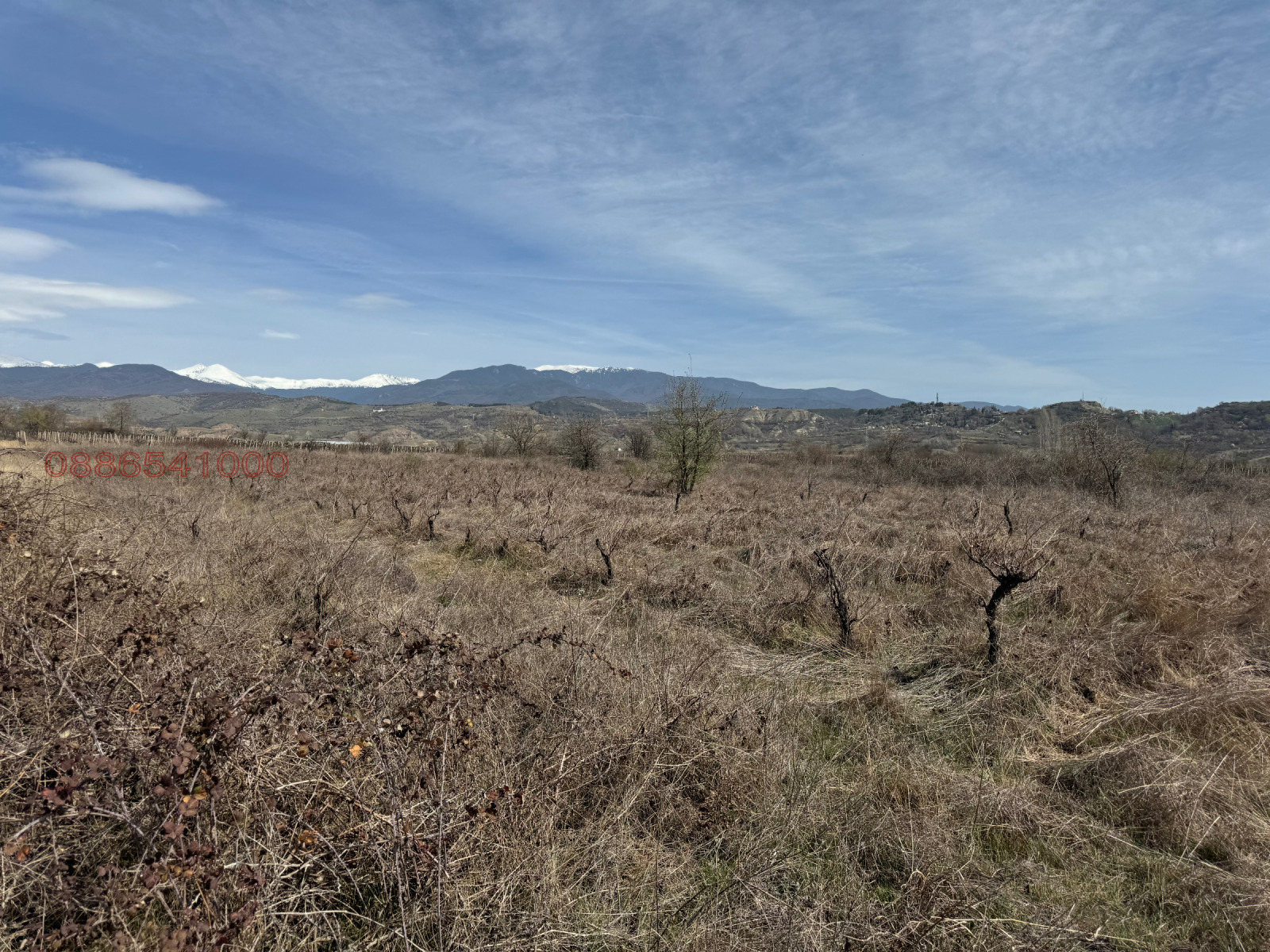 ������� ������ | Imot.bg � ����������� 4