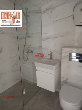 ����� ������� ����������,���� ������ �������, ������