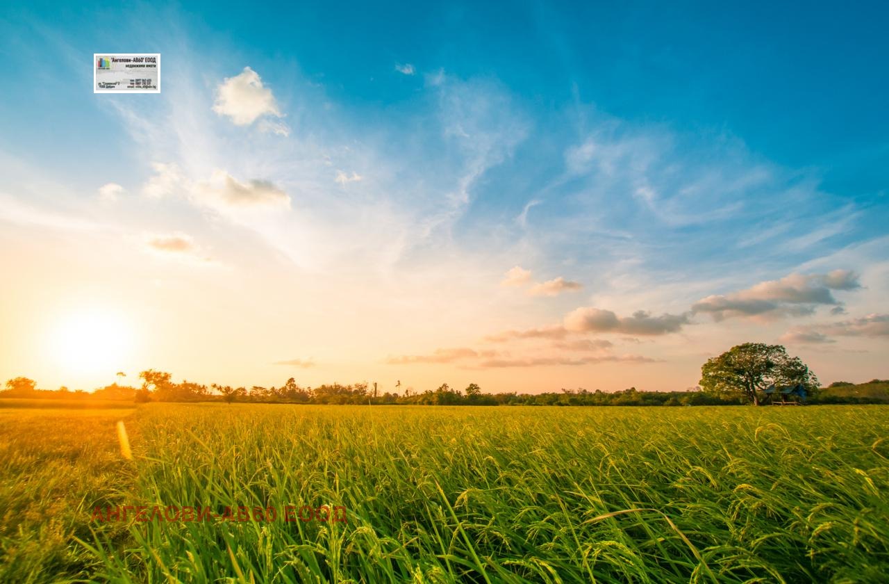 Продава ЗЕМЕДЕЛСКА ЗЕМЯ, с. Горица, област Добрич