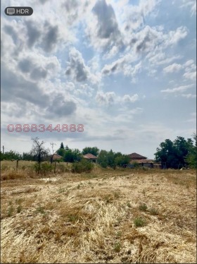 ����� ������� ������,��. ����������, ������ �������