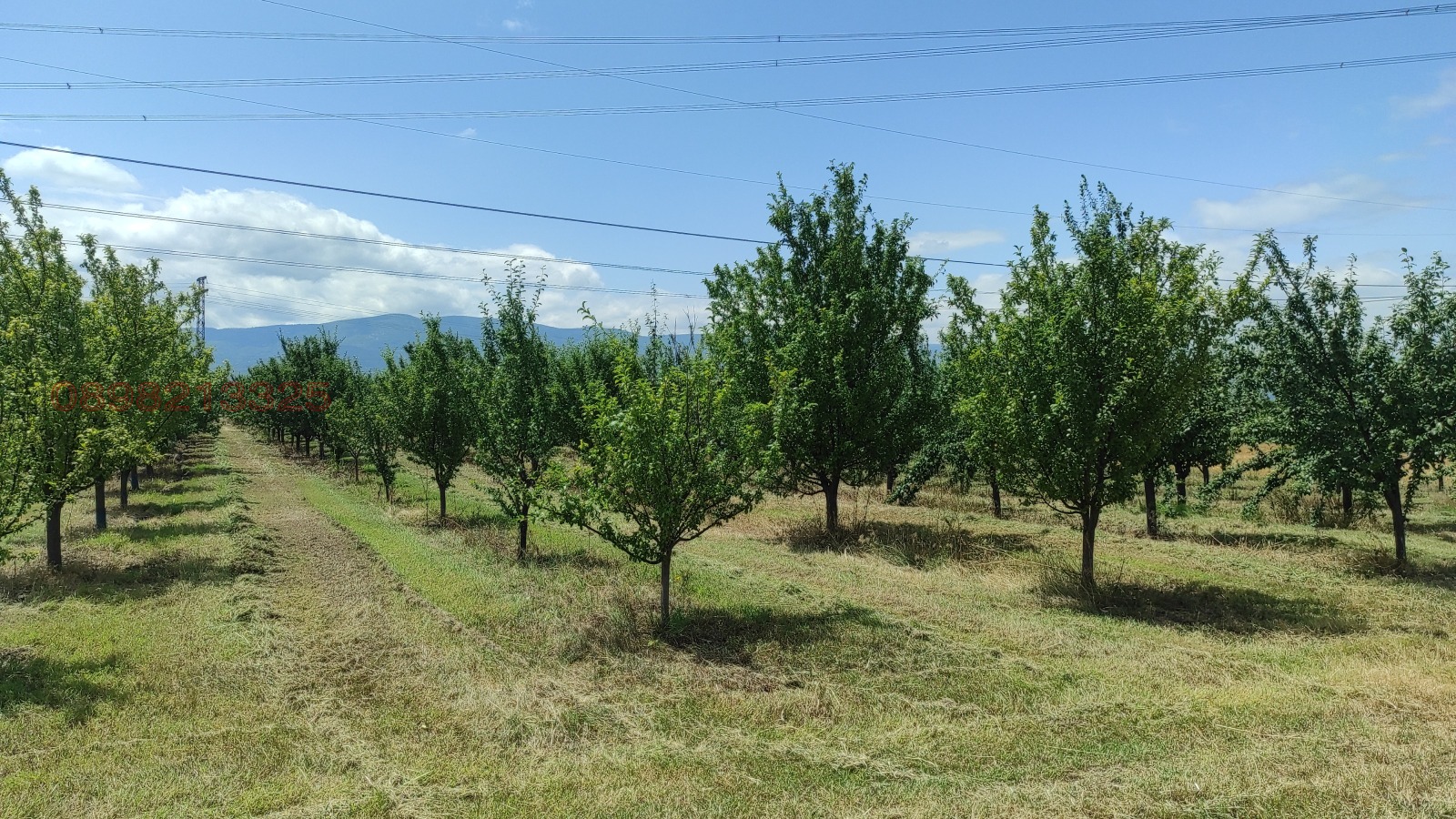 Продава ЗЕМЕДЕЛСКА ЗЕМЯ, с. Крумово, област Пловдив