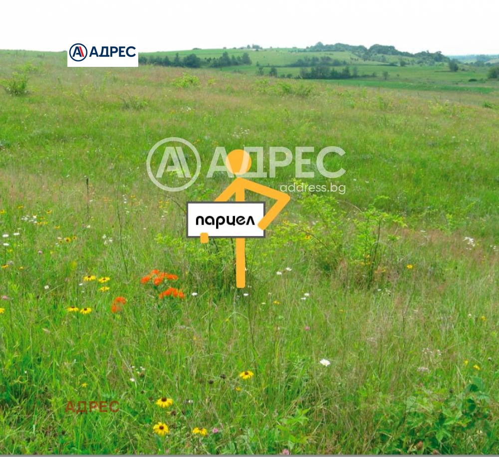 Продава ЗЕМЕДЕЛСКА ЗЕМЯ, с. Аврен, област Варна