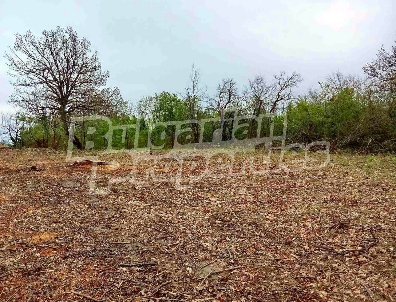 Продава ПАРЦЕЛ в област Габрово, с. Керека - 1860 кв.м / 25 000 € » 48 895.75 лв., БЪЛГЕРИАН ПРОПЕРТИС