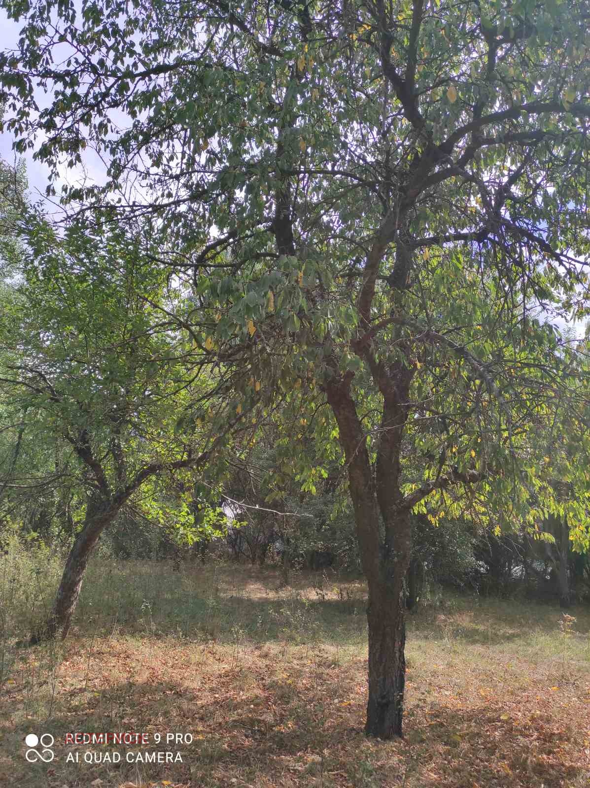 ������� ������ | Imot.bg � ����������� 9
