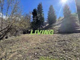 Hus Sjepelare, region Smolyan 4