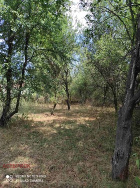 ������� ������ | Imot.bg � ����� ������ 8