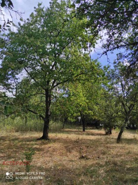 ������� ������ | Imot.bg � ����� ������ 11