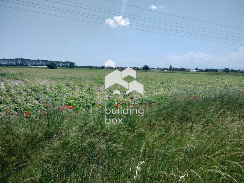 In vendita  Complotto regione Plovdiv , Graf Ignatievo , 4747 mq | 80758718 - Immagine [4]