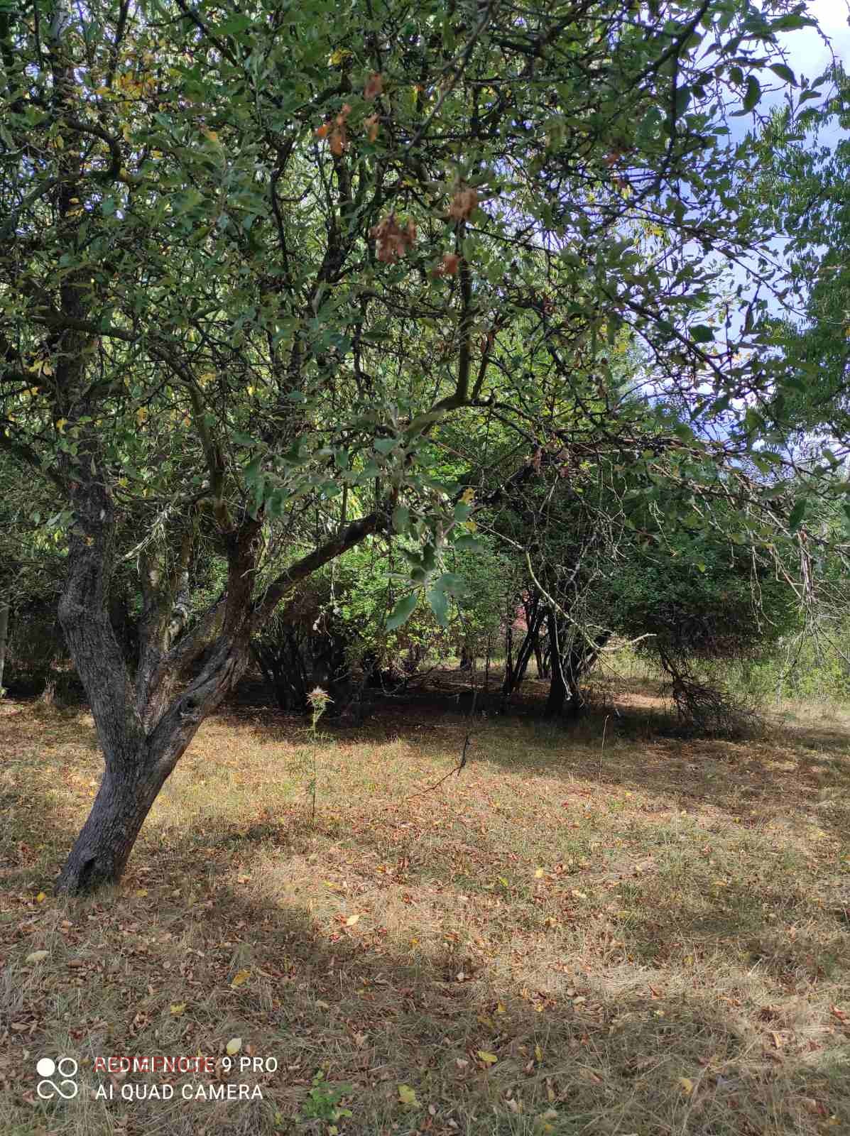 Продава ПАРЦЕЛ, гр. Перник, Църква, снимка 10 - Парцели - 52779973