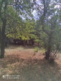 Продава ПАРЦЕЛ, гр. Перник, Църква, снимка 7