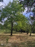 Продава ПАРЦЕЛ, гр. Перник, Църква, снимка 11