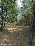 Продава ПАРЦЕЛ, град Перник, Църква • 75000 € • 57215785 8