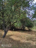 Продава ПАРЦЕЛ, град Перник, Църква • 75000 € • 57215785 10