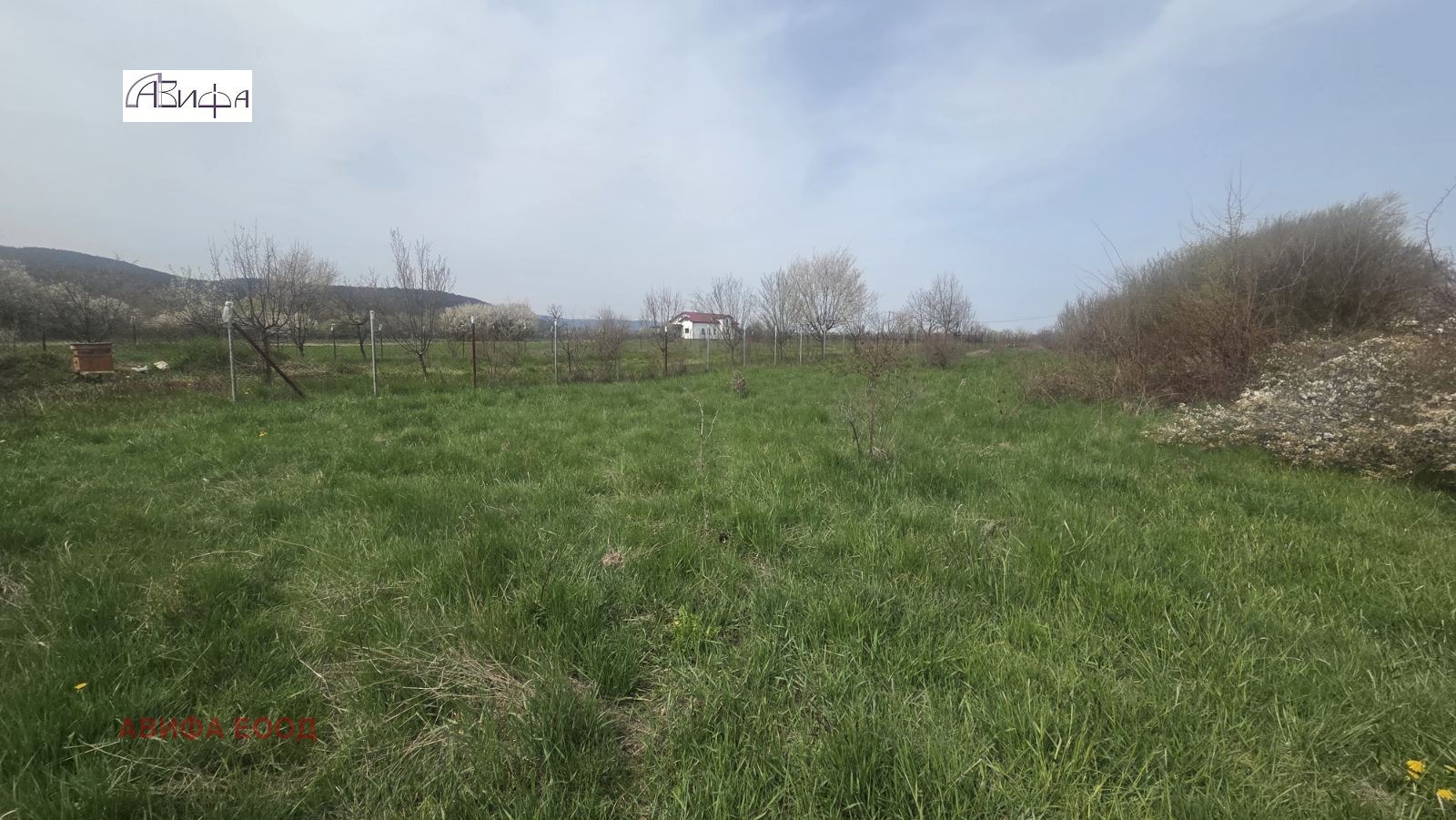 ������� ������ | Imot.bg � ����������� 5