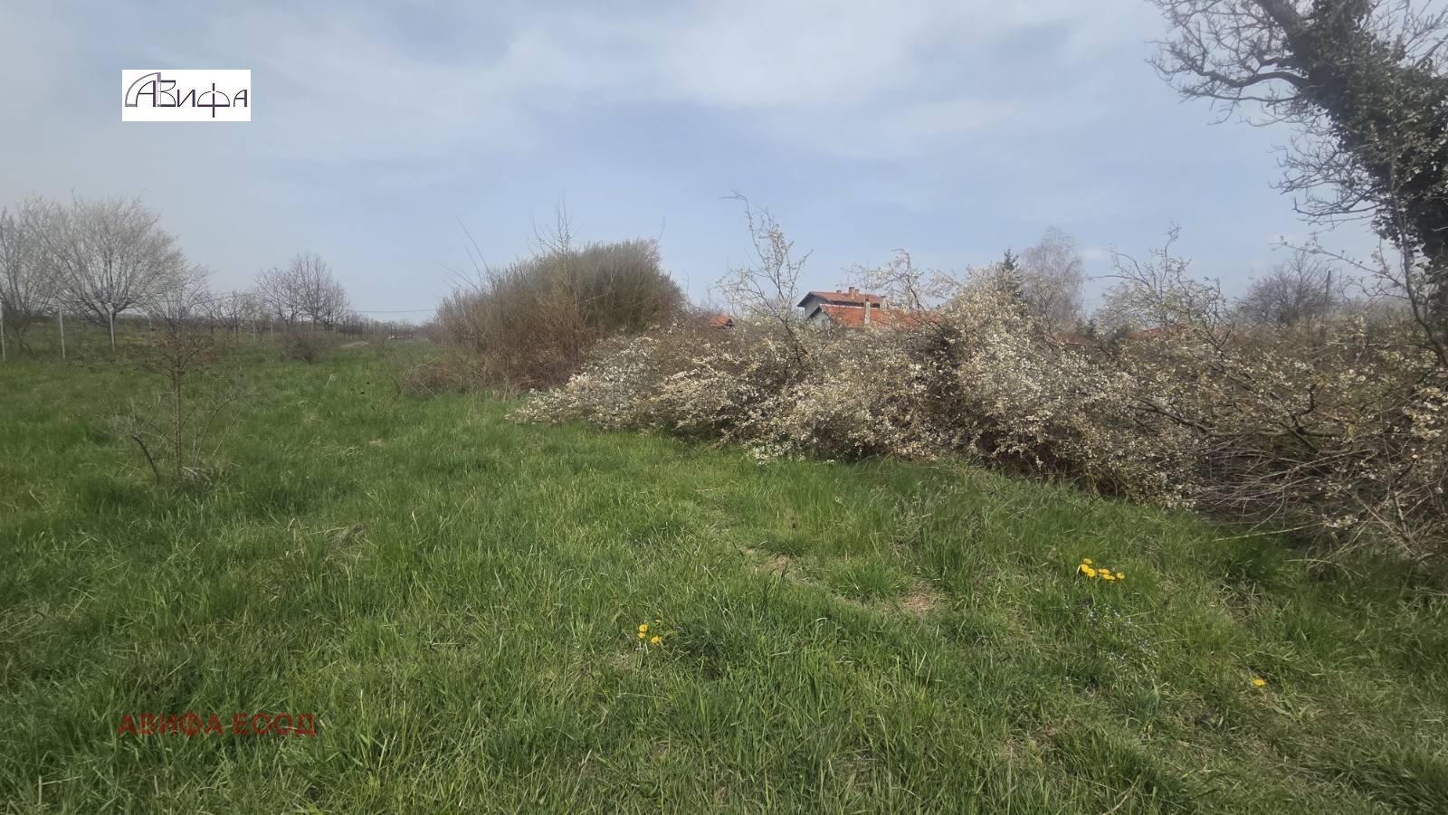 ������� ������ | Imot.bg � ����������� 6