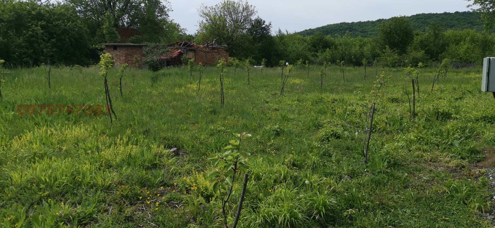 ������� ������ | Imot.bg � ����������� 11