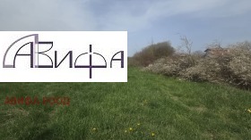 ������ ������� ������