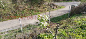 ������� ������ | Imot.bg � ����� ������ 6