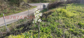 ������� ������ | Imot.bg � ����� ������ 5
