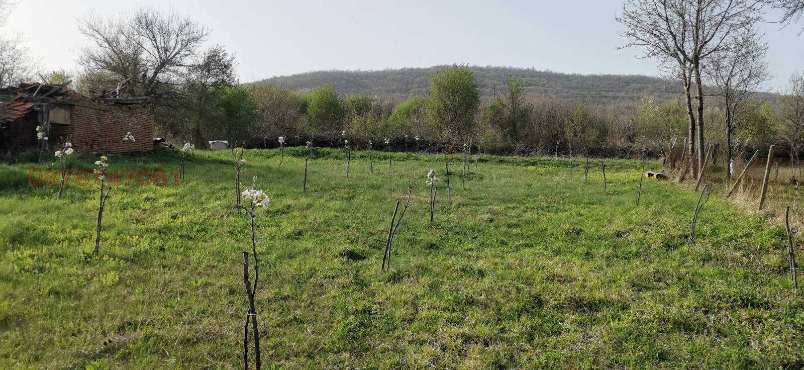 Продава ПАРЦЕЛ, с. Батулци, област Ловеч, снимка 5 - Парцели - 56144798