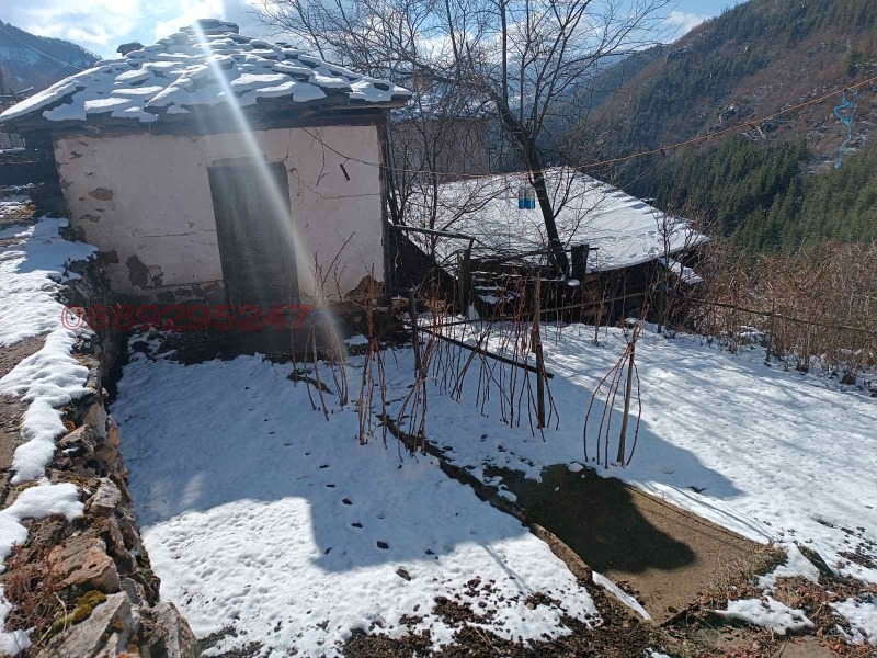 Продава КЪЩА, с. Брезе, област Смолян, снимка 4 - Къщи - 52960844