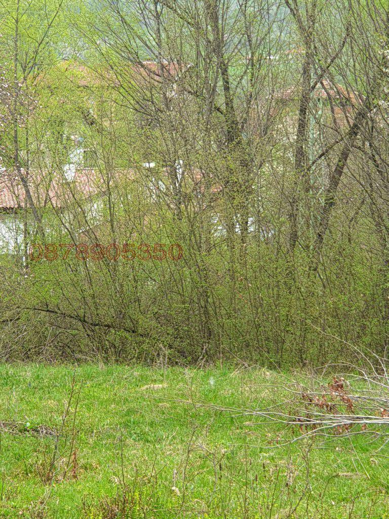 Продава ПАРЦЕЛ, гр. Априлци, област Ловеч, снимка 11 - Парцели - 52786257