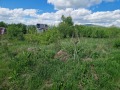 Продава ПАРЦЕЛ, с. Големо Бучино, област Перник, снимка 4