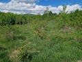 Продава ПАРЦЕЛ, с. Големо Бучино, област Перник, снимка 2