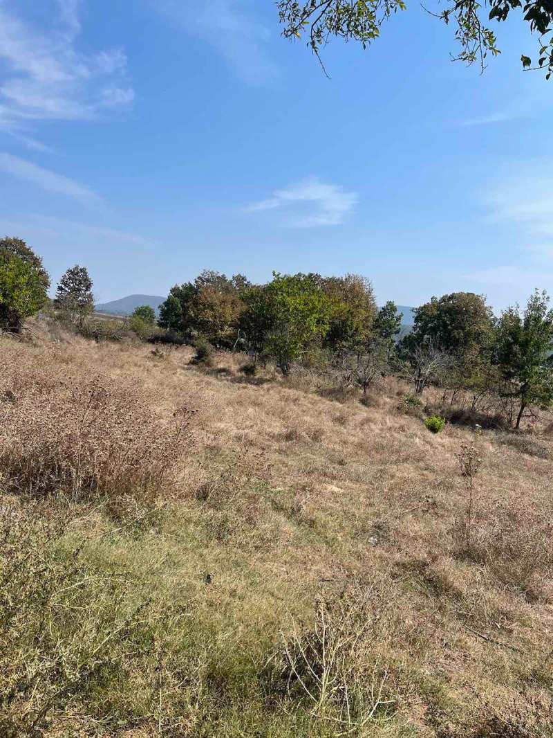 For Sale  Plot region Varna , Popovich , 1336 sq.m | 81415996 - image [3]