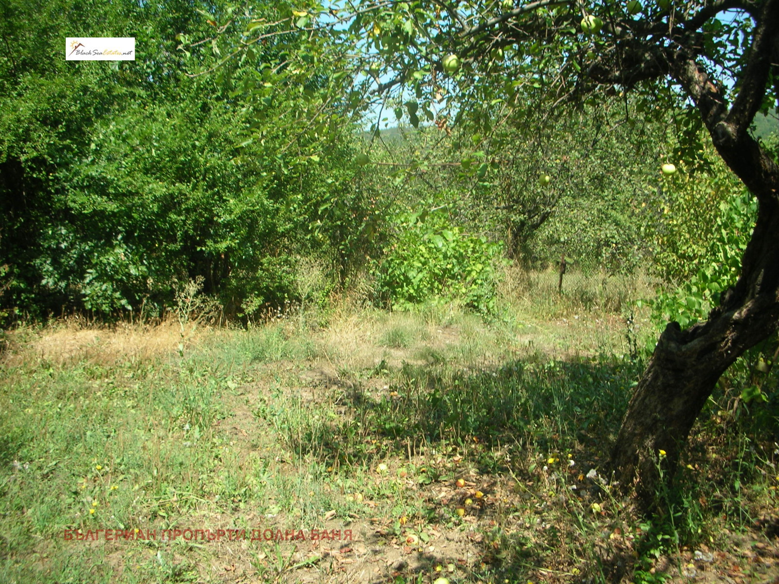 Продава КЪЩА | Imot.bg — изображение 7